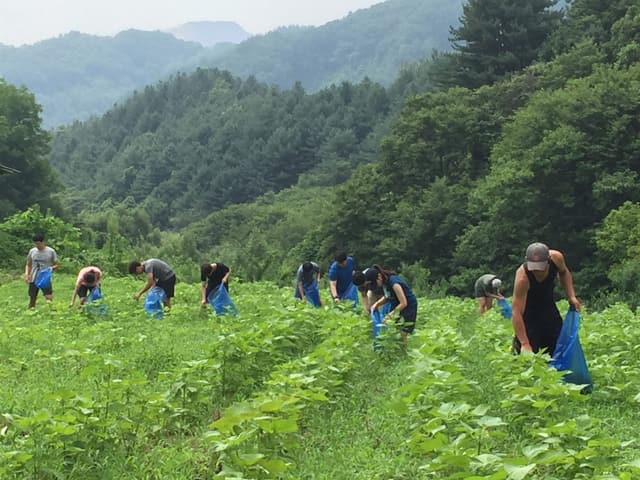 여름 수련회 · 35