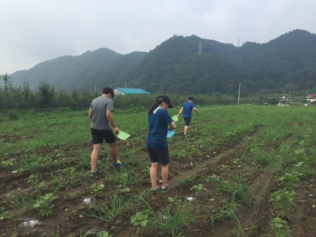여름 수련회 · 26